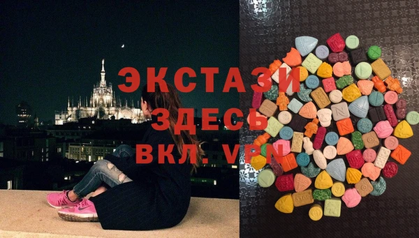 дмт Богородицк