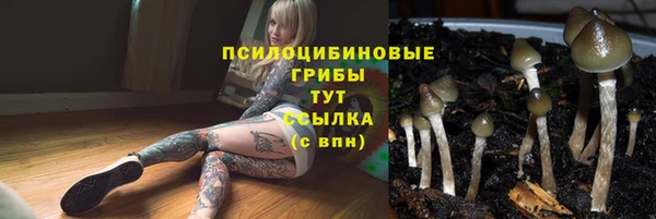 дмт Богородицк