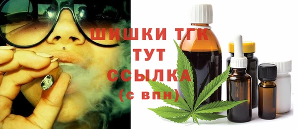 дмт Богородицк
