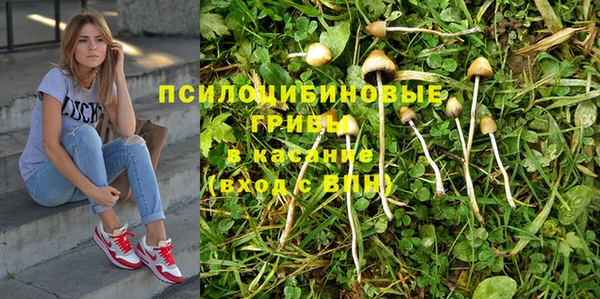 дурь Богданович
