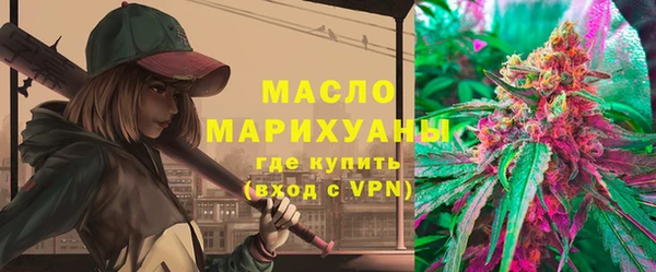 дмт Богородицк