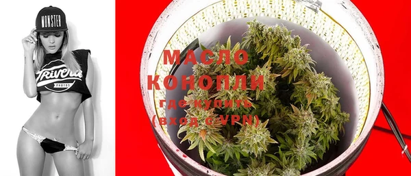 дмт Богородицк