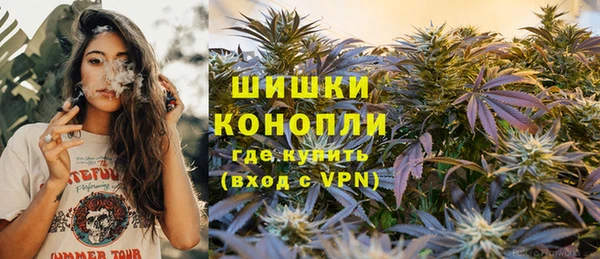 дурь Богданович
