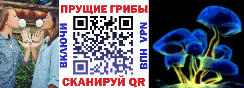 Галлюциногенные грибы ЛСД  Тула 